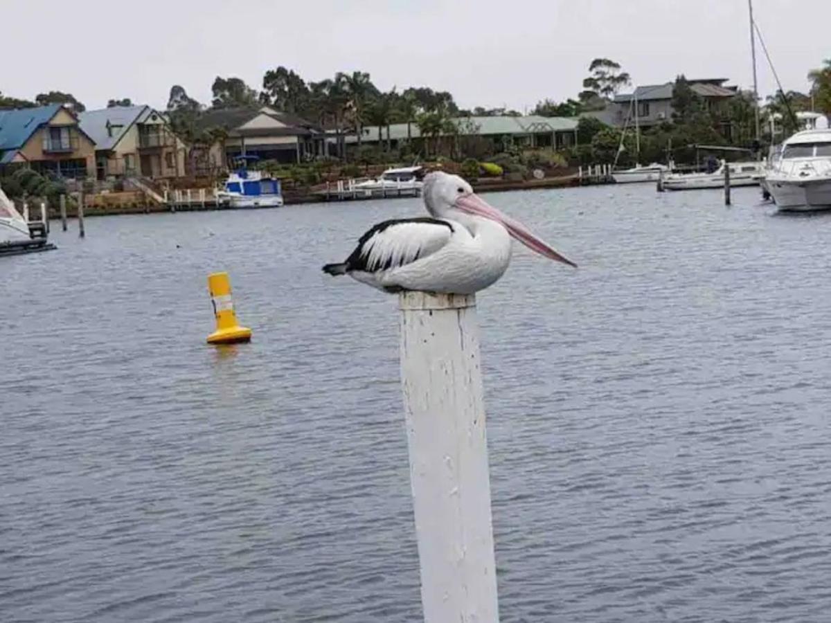The View - Captains Cove Waterfront Resort Paynesville Esterno foto